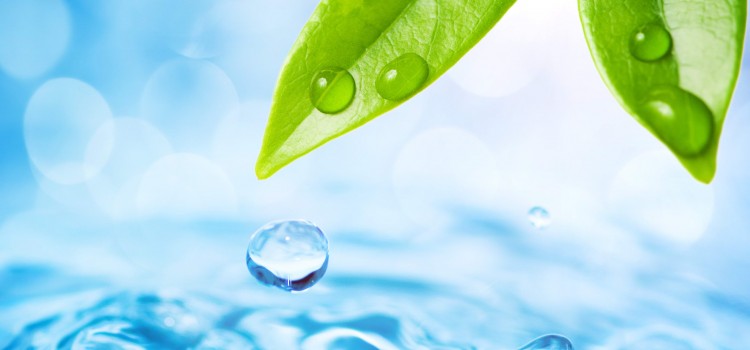 Stimulentele imunitare naturale