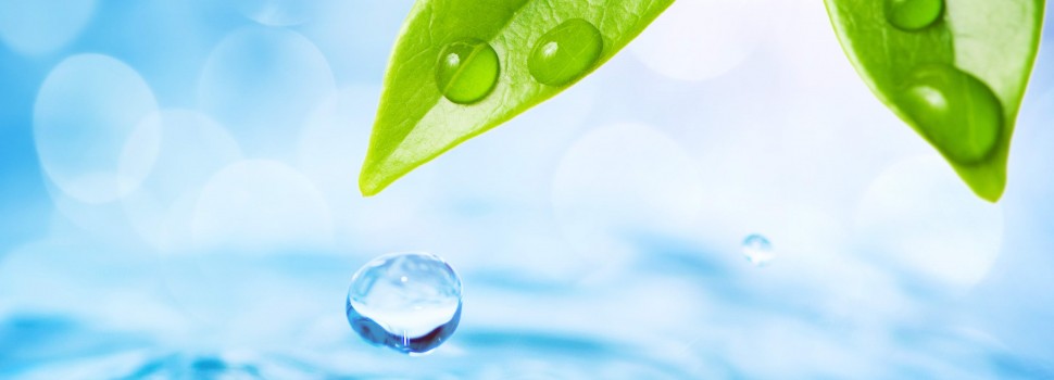 Stimulentele imunitare naturale